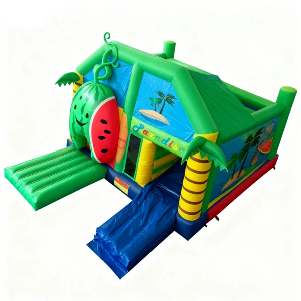 Inflatable Castle Bounce House With Slide best