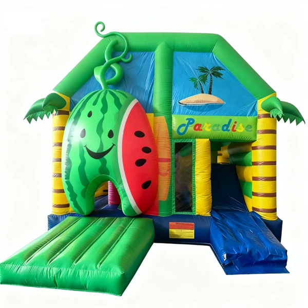 Inflatable Castle Bounce House With Slide